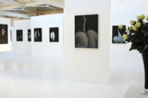 light daylight studio